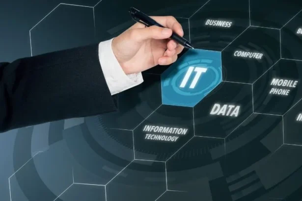 The Comprehensive Guide to Pedrovazpaulo it Consulting